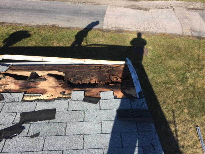 roof repair and replacement